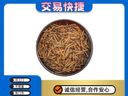 仙桃高价回收散虫草